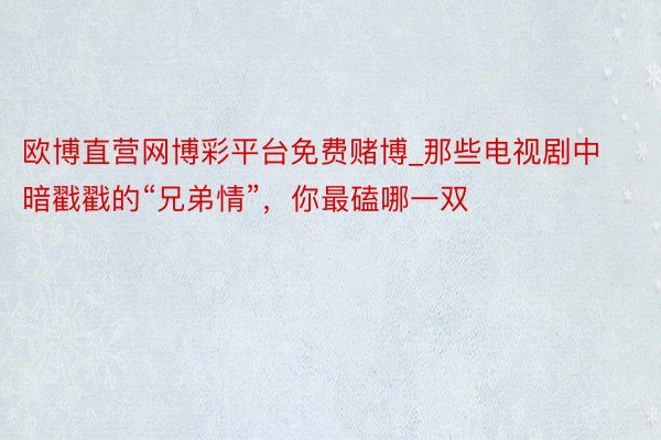 欧博直营网博彩平台免费赌博_那些电视剧中暗戳戳的“兄弟情”，你最磕哪一双