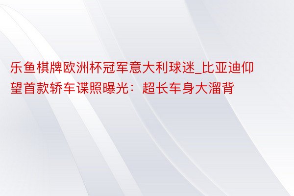 乐鱼棋牌欧洲杯冠军意大利球迷_比亚迪仰望首款轿车谍照曝光：超长车身大溜背