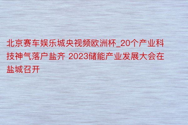 北京赛车娱乐城央视频欧洲杯_20个产业科技神气落户盐齐 2023储能产业发展大会在盐城召开