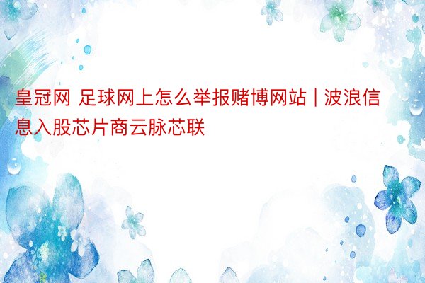 皇冠网 足球网上怎么举报赌博网站 | 波浪信息入股芯片商云脉芯联